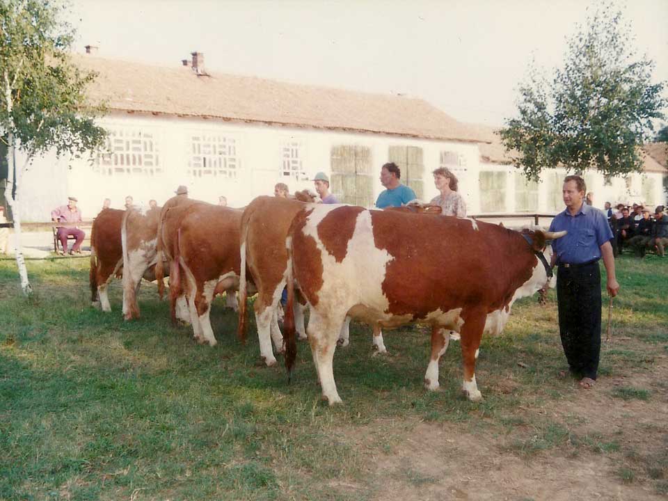 Слика 22