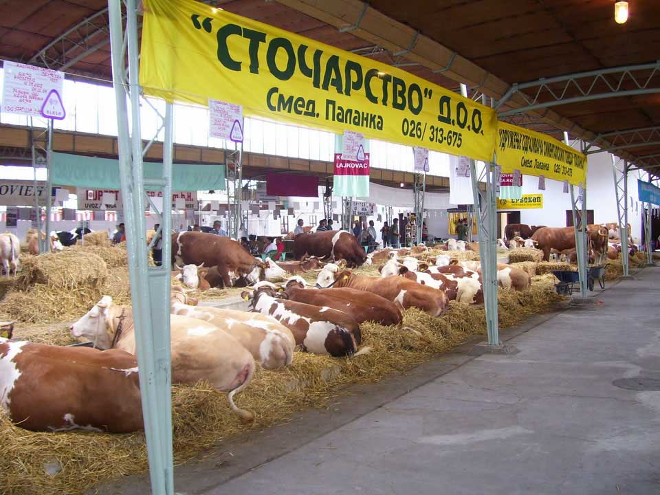 Слика 1