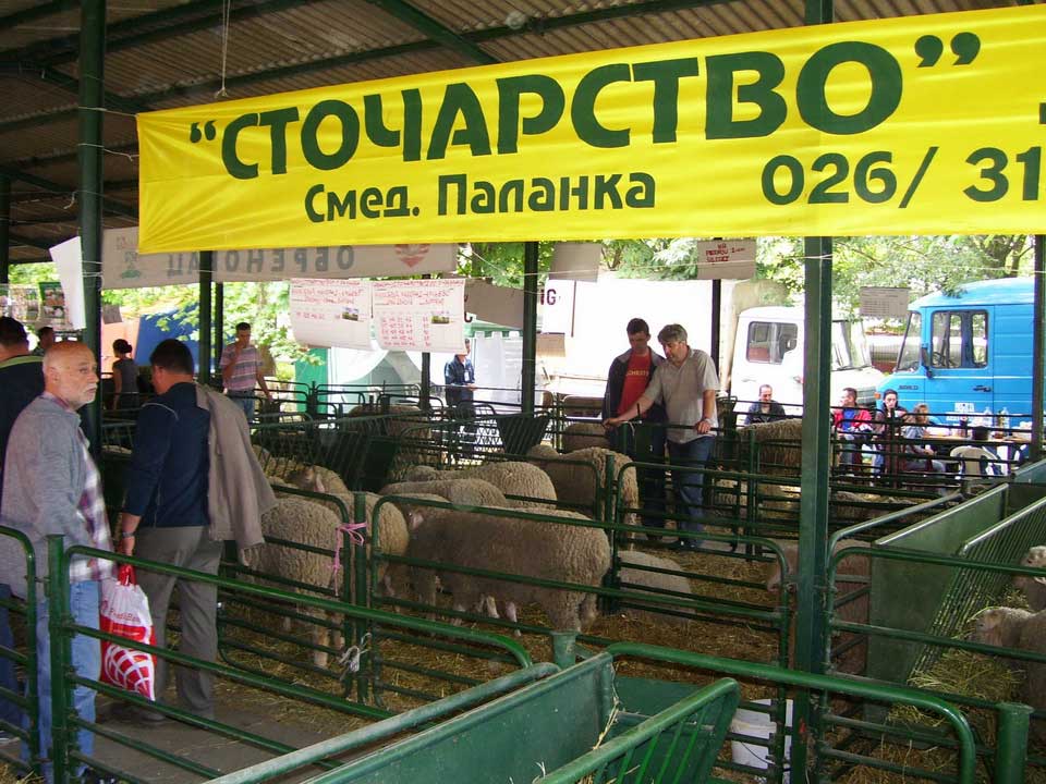 Слика 6