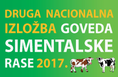 izlozba